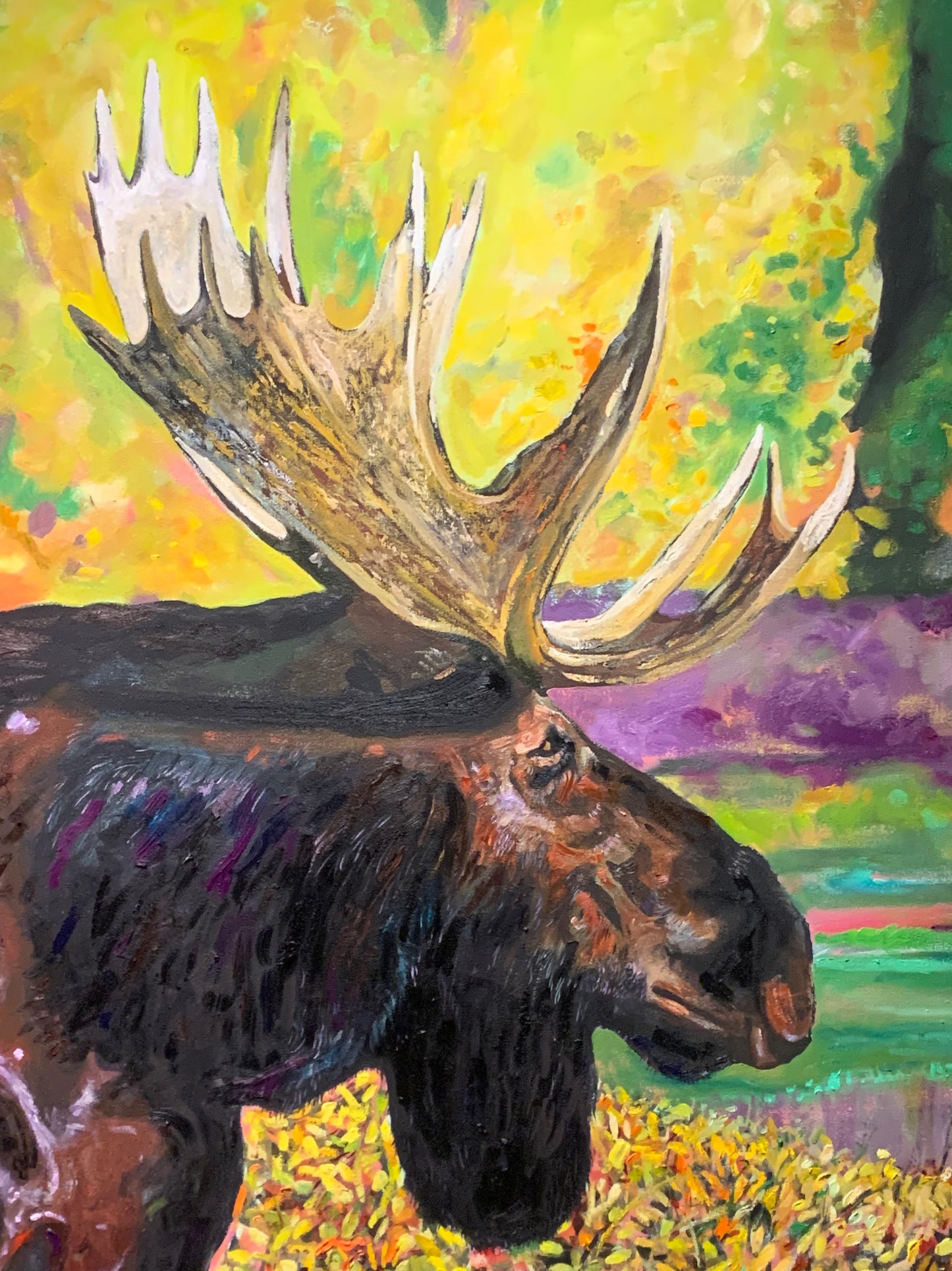 Moose Heading to the Marsh