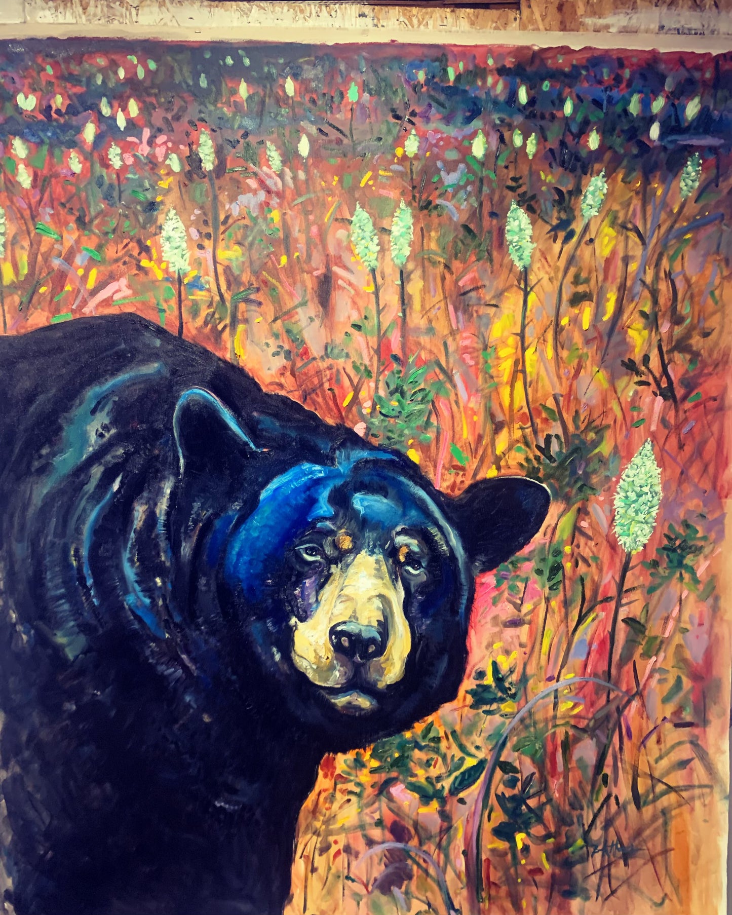Hey Bear Bear
